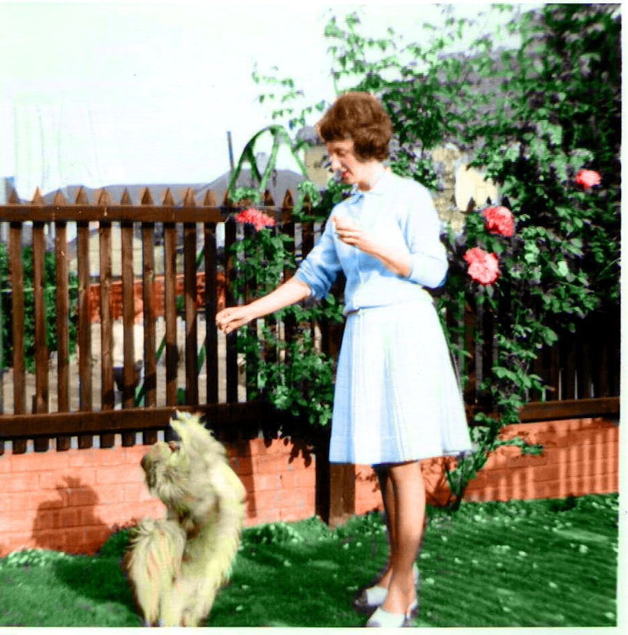 Carolyn and Dinky, Timbers Square, Cardiff